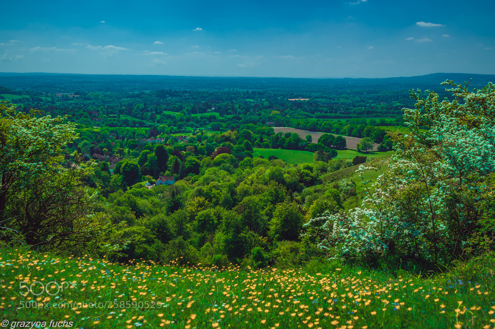 Nikon D3300 sample photo. Magnificent views from the photography