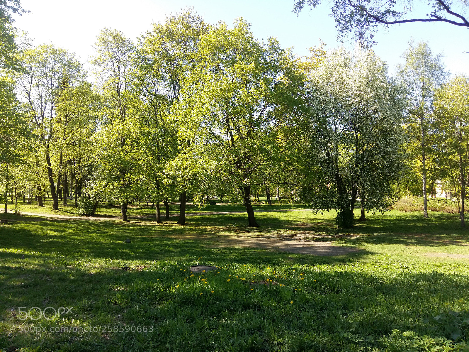 Samsung Galaxy A5 sample photo. Untitled photography