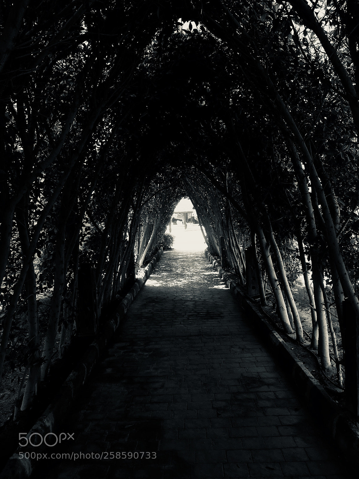 Apple iPhone 6s sample photo. Tunnel photography