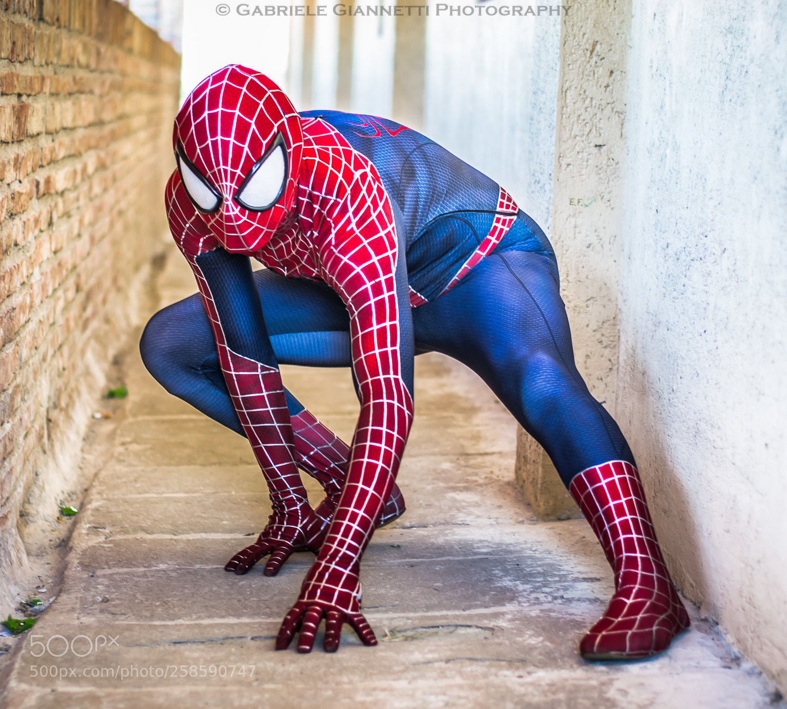 Nikon D3100 sample photo. The amazing spiderman photography