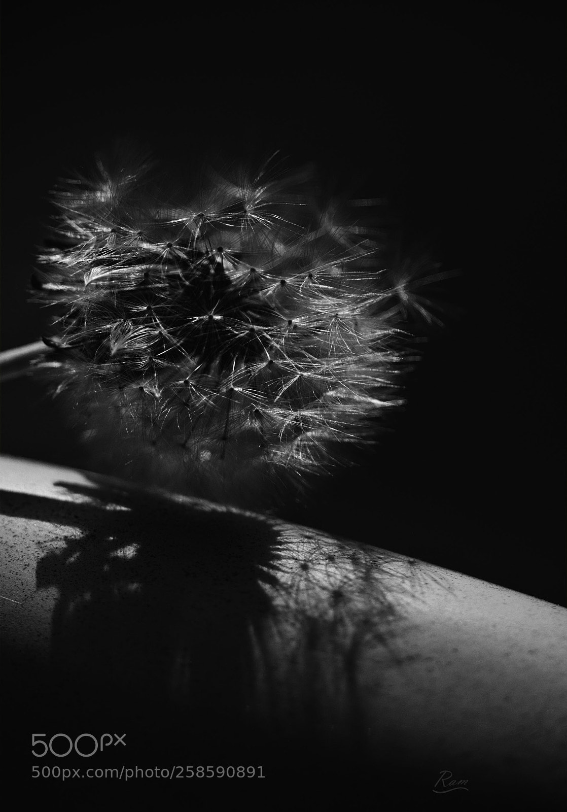 Canon EOS 600D (Rebel EOS T3i / EOS Kiss X5) sample photo. Shadow or not ton photography