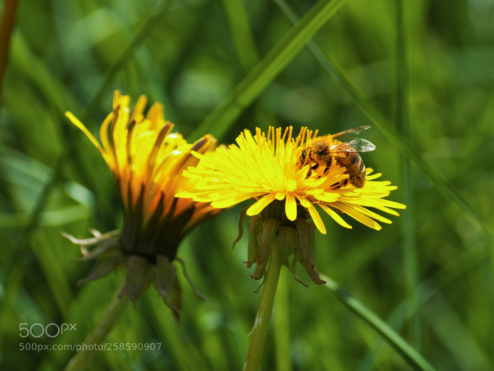 Nikon D3200 sample photo. Untitled photography