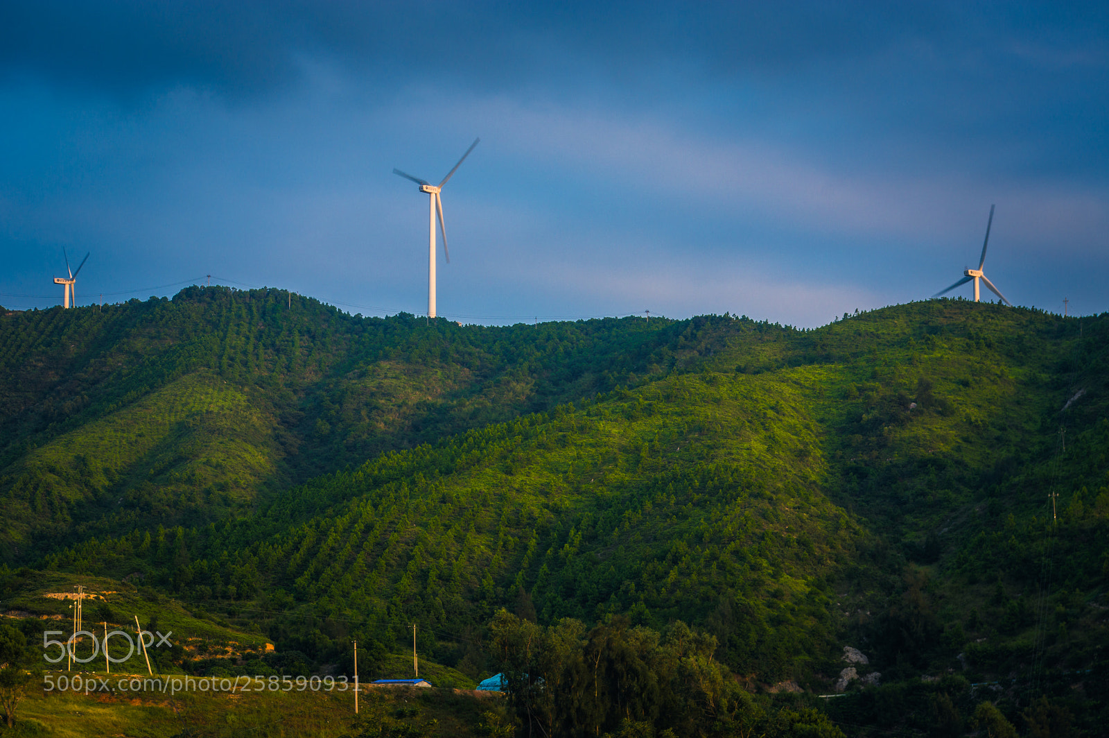 Pentax K-3 II sample photo. Untitled photography