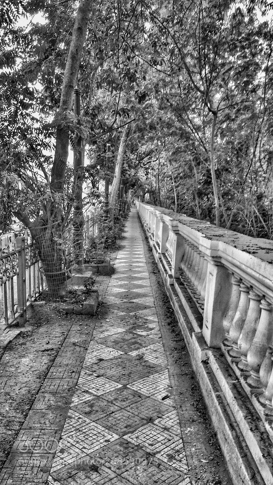 Xiaomi Redmi 4 Pro sample photo. Life without colours... photography