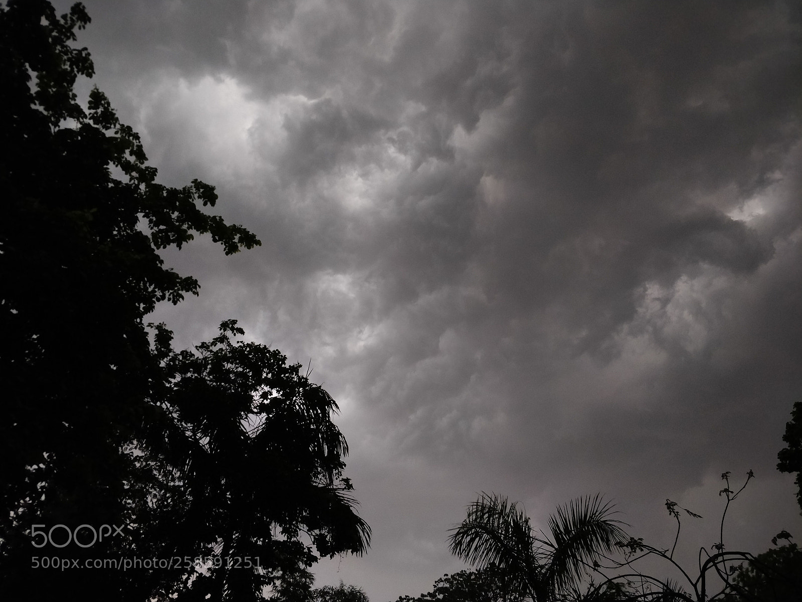 OnePlus 5 sample photo. Stormy evenings! photography
