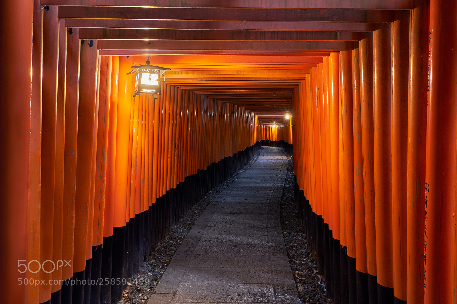Fujifilm X-T20 sample photo. Fushimi inari shrine photography