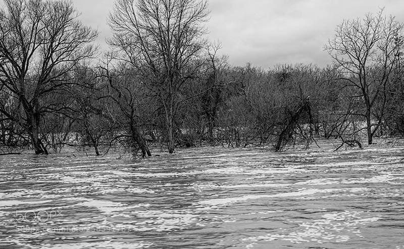 Olympus OM-D E-M1 Mark II sample photo. High water photography