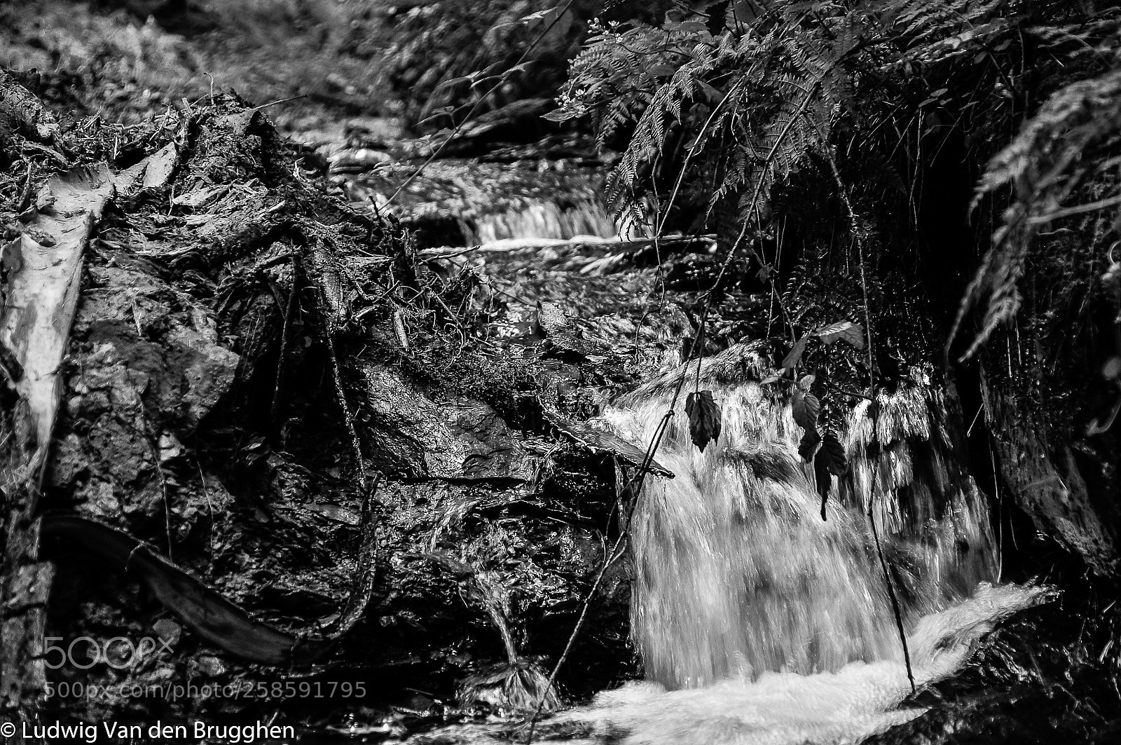 Nikon D300 sample photo. Stream photography