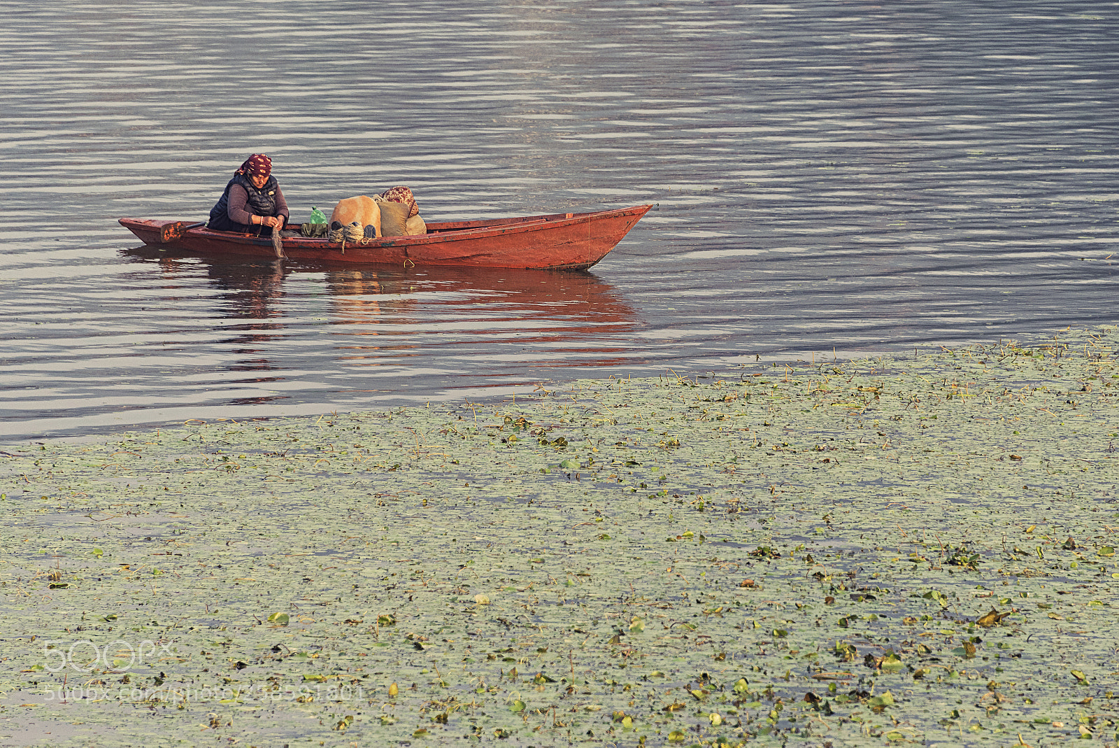 Nikon D750 sample photo. Fishing on phewa lake photography