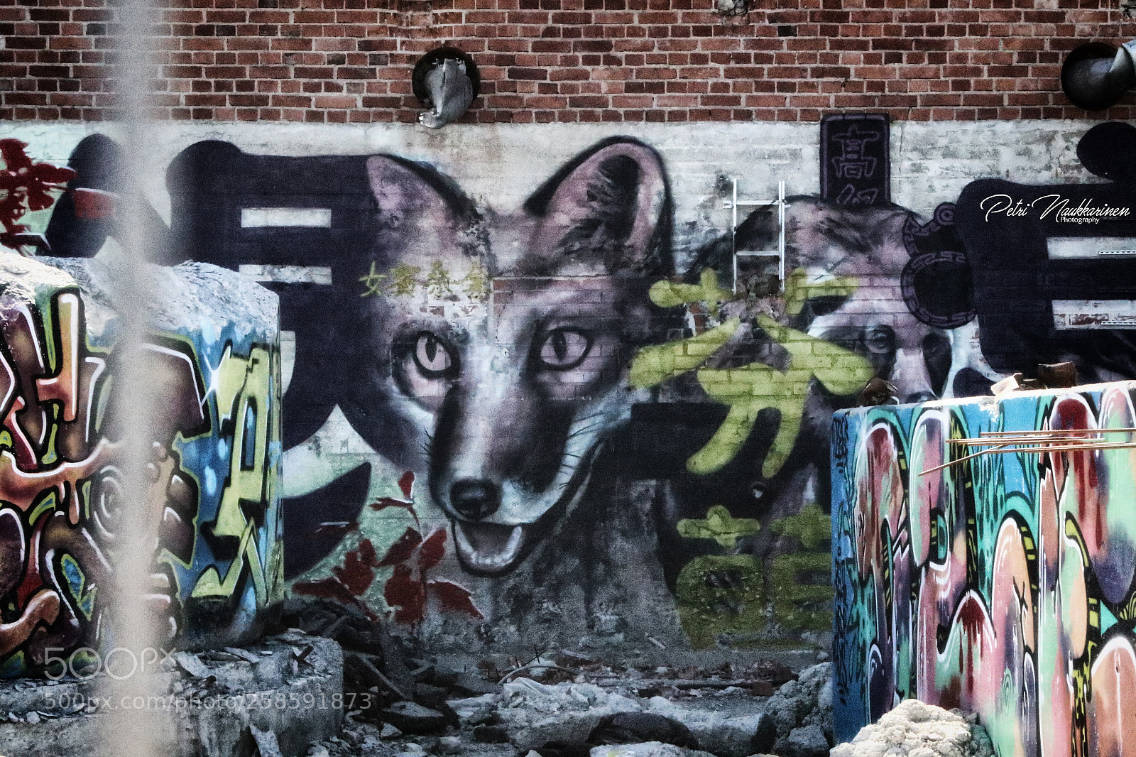 Canon EOS 7D Mark II sample photo. City fox photography