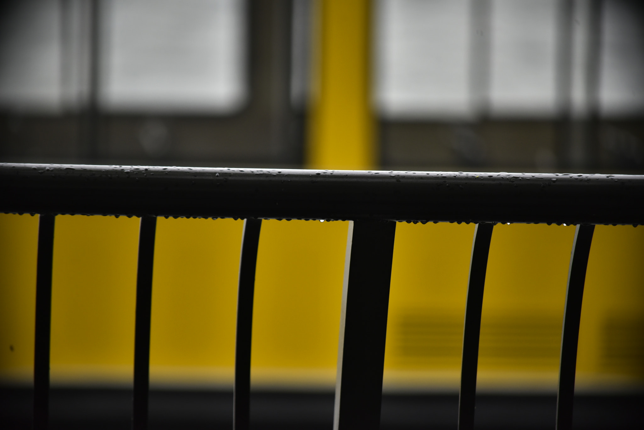 Nikon D750 sample photo. Drops photography