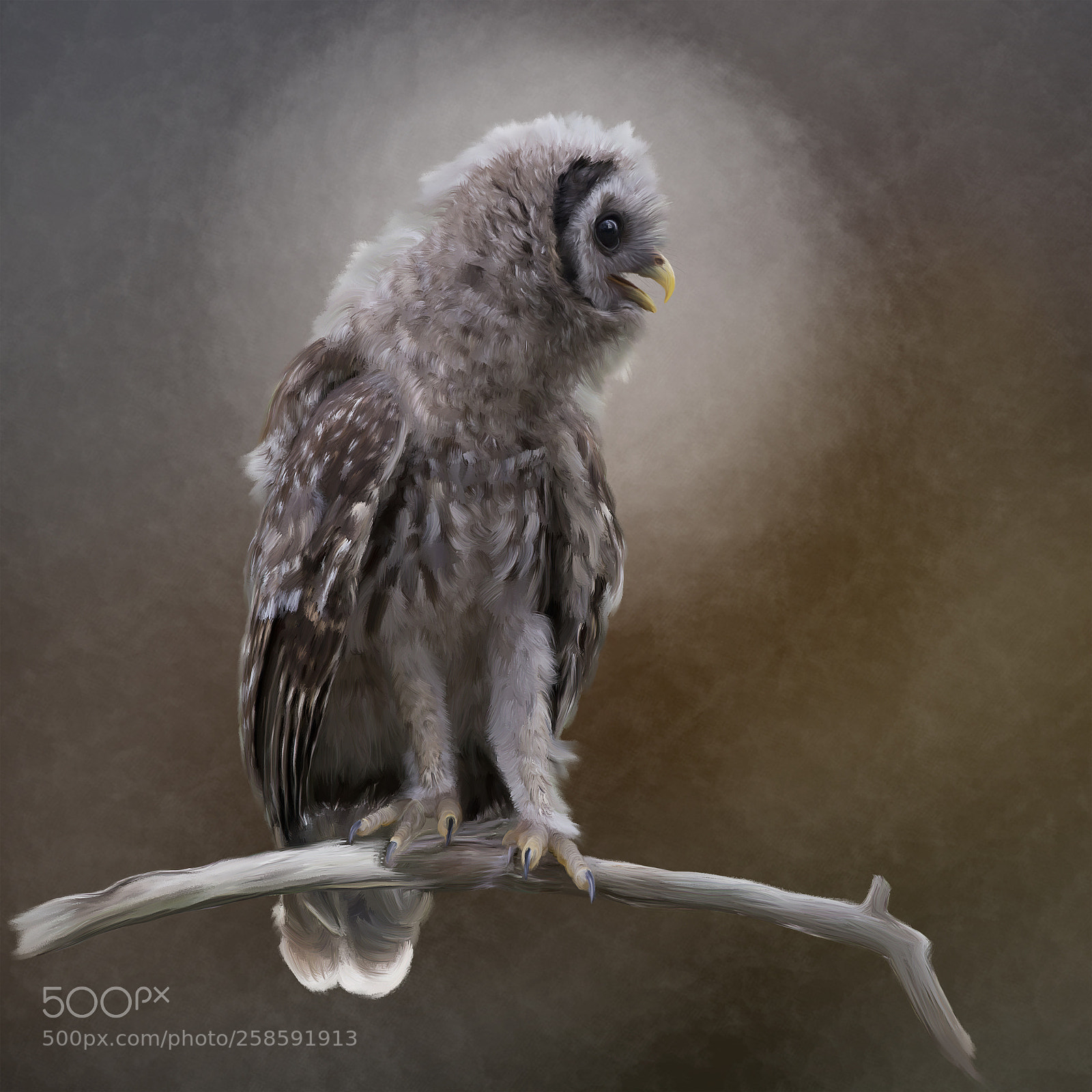 Nikon D800 sample photo. Barred owlet perches on photography