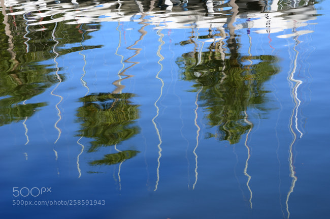 Nikon D7000 sample photo. Td photography