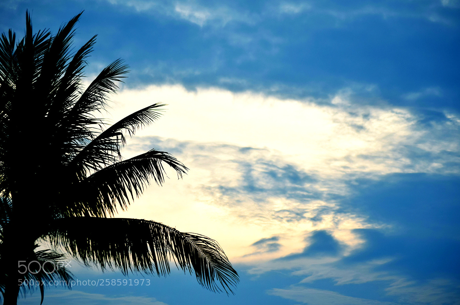 Nikon D5300 sample photo. Untitled photography