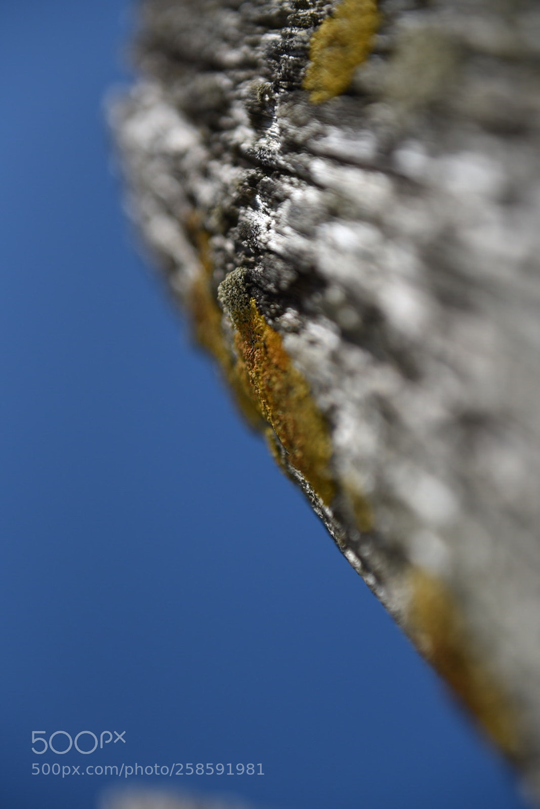 Nikon D750 sample photo. Untitled photography