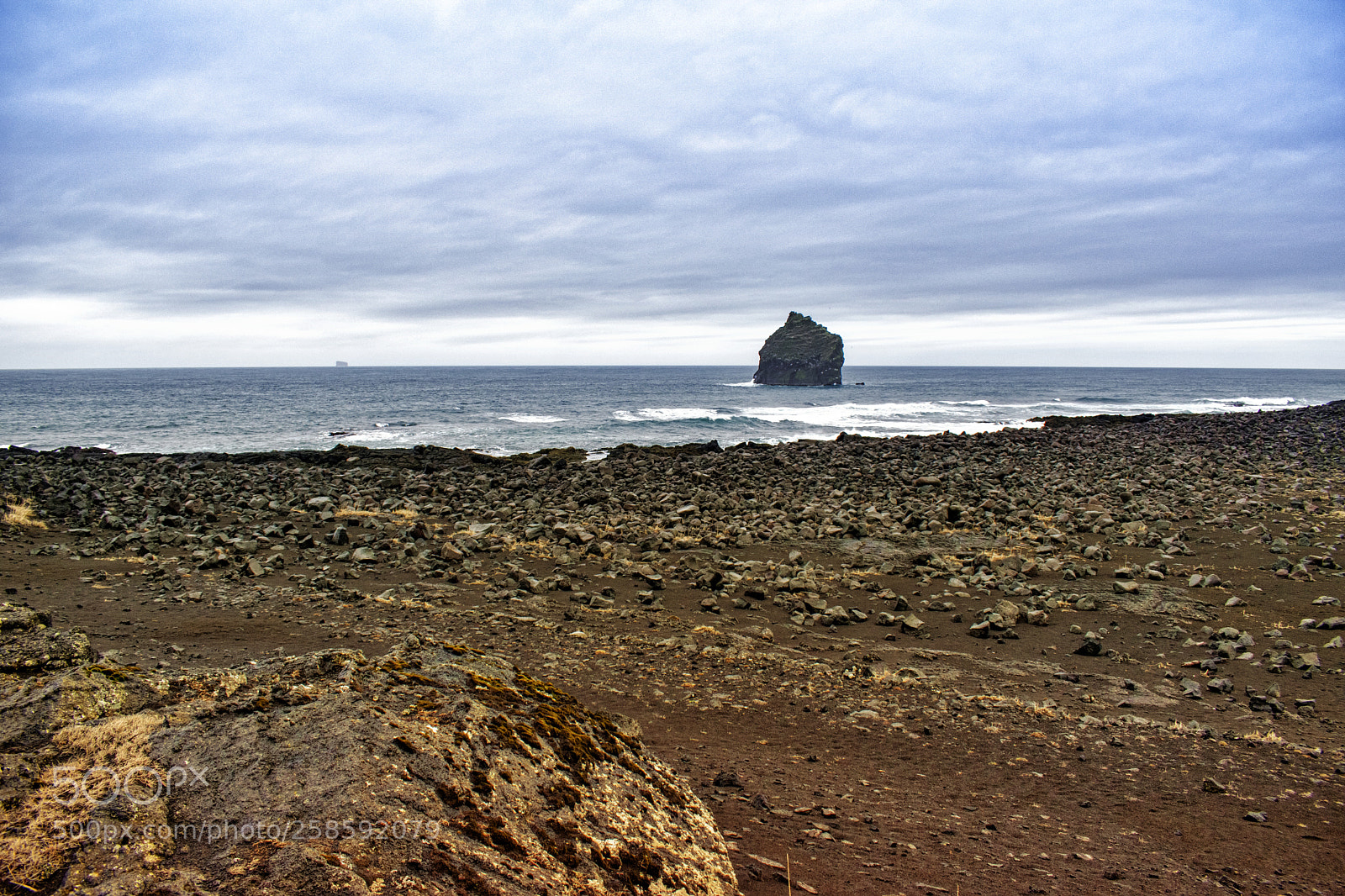 Nikon D3300 sample photo. Birdcliff near elsey island photography