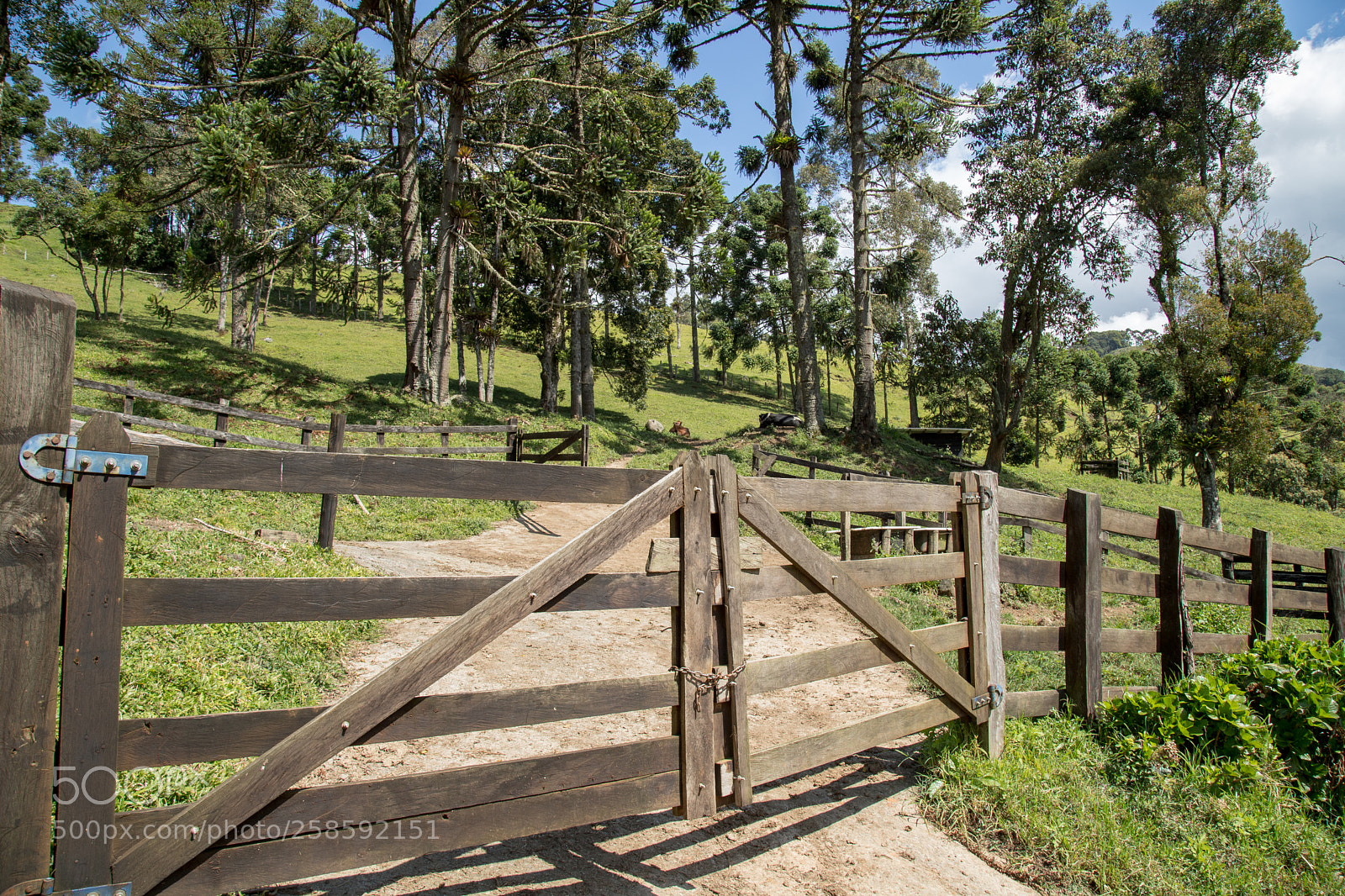 Canon EOS 6D Mark II sample photo. Untitled photography