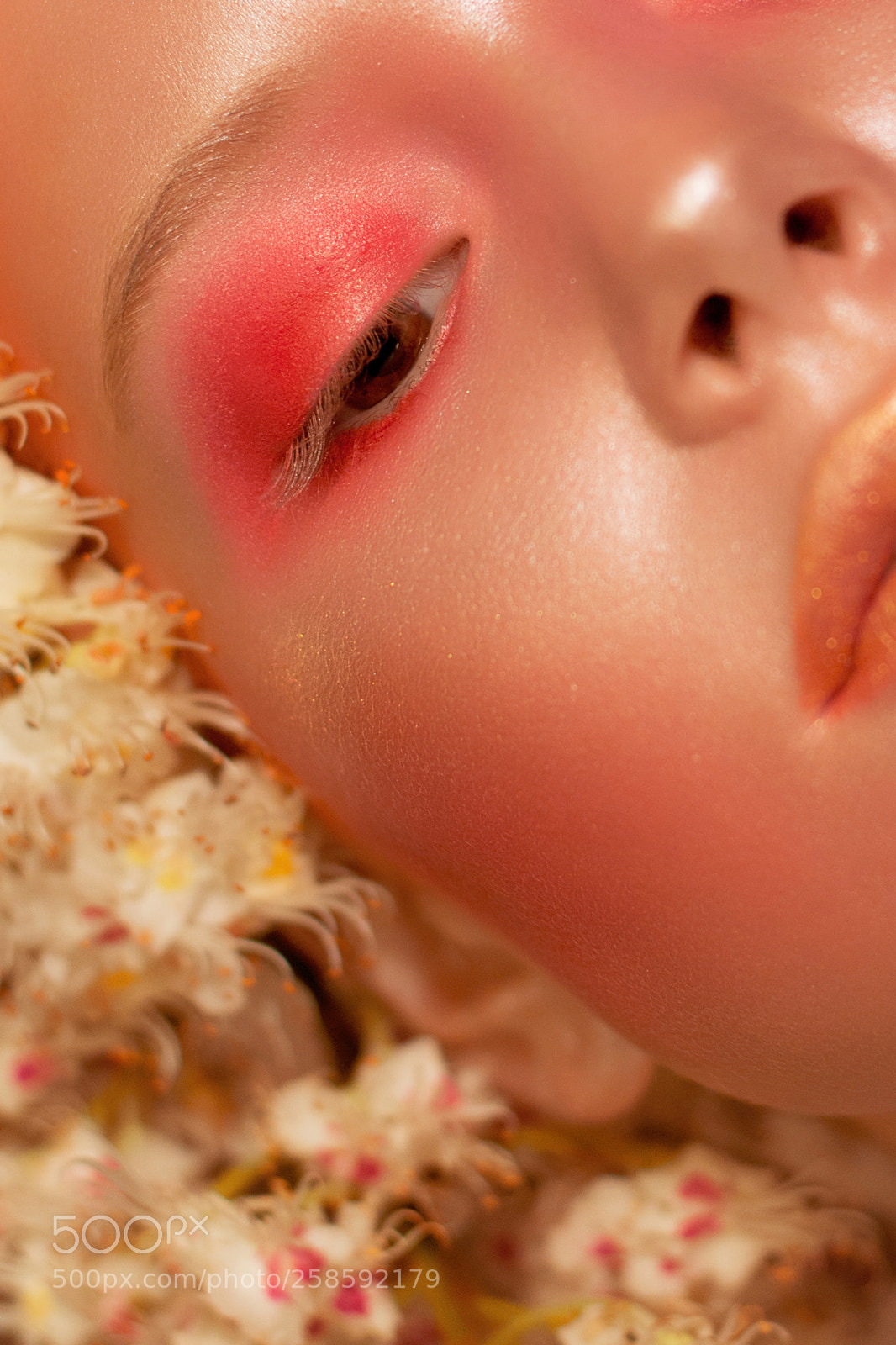 Nikon D7100 sample photo. Flovers photography