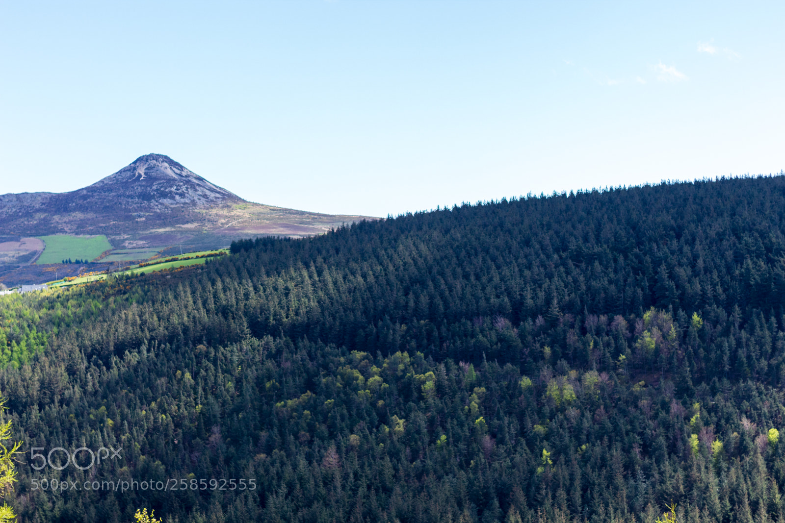 Canon EOS 1300D (EOS Rebel T6 / EOS Kiss X80) sample photo. The sugarloaf mountain, wicklow photography