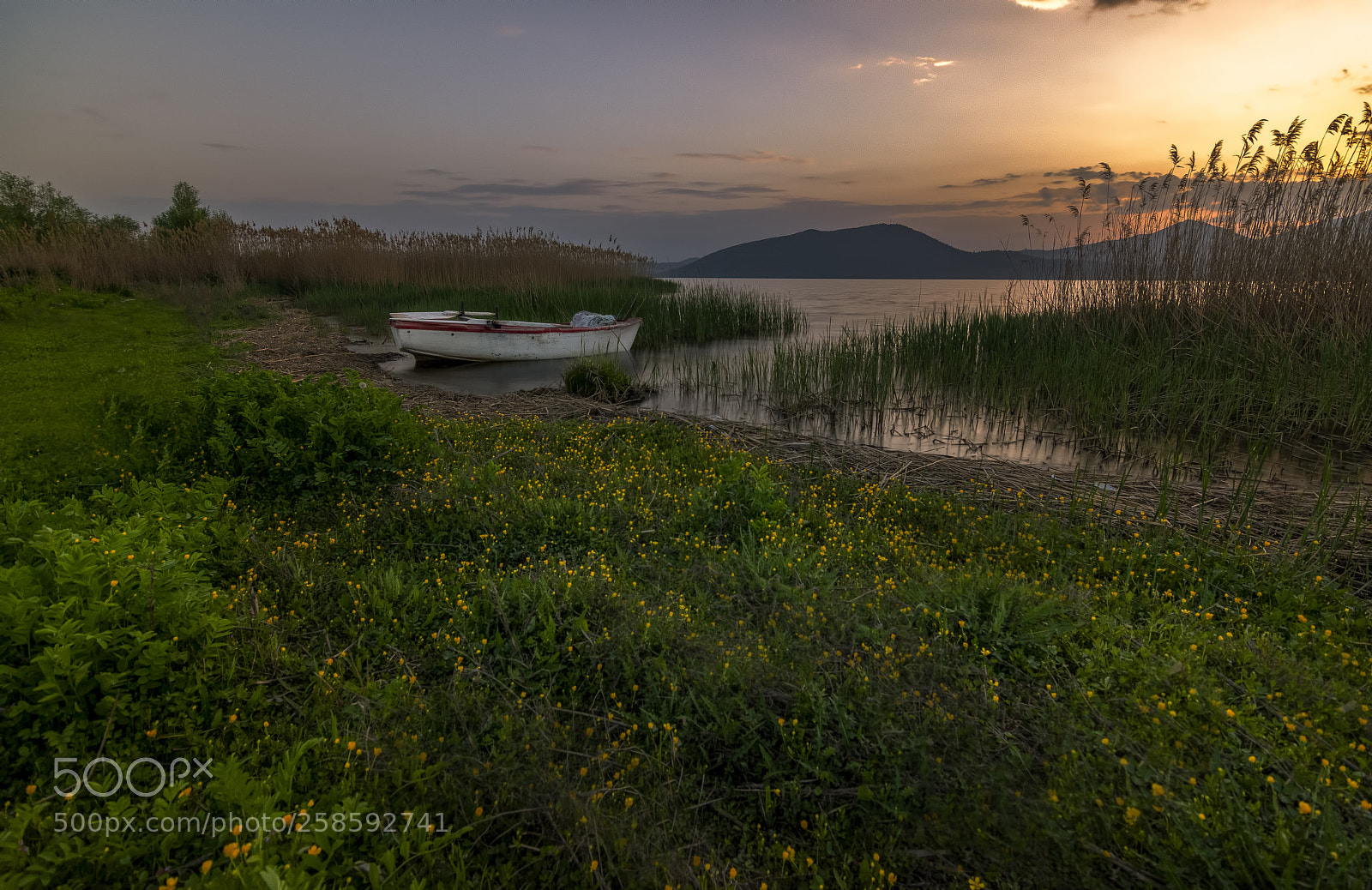 Nikon D7200 sample photo. Sunset in lake photography