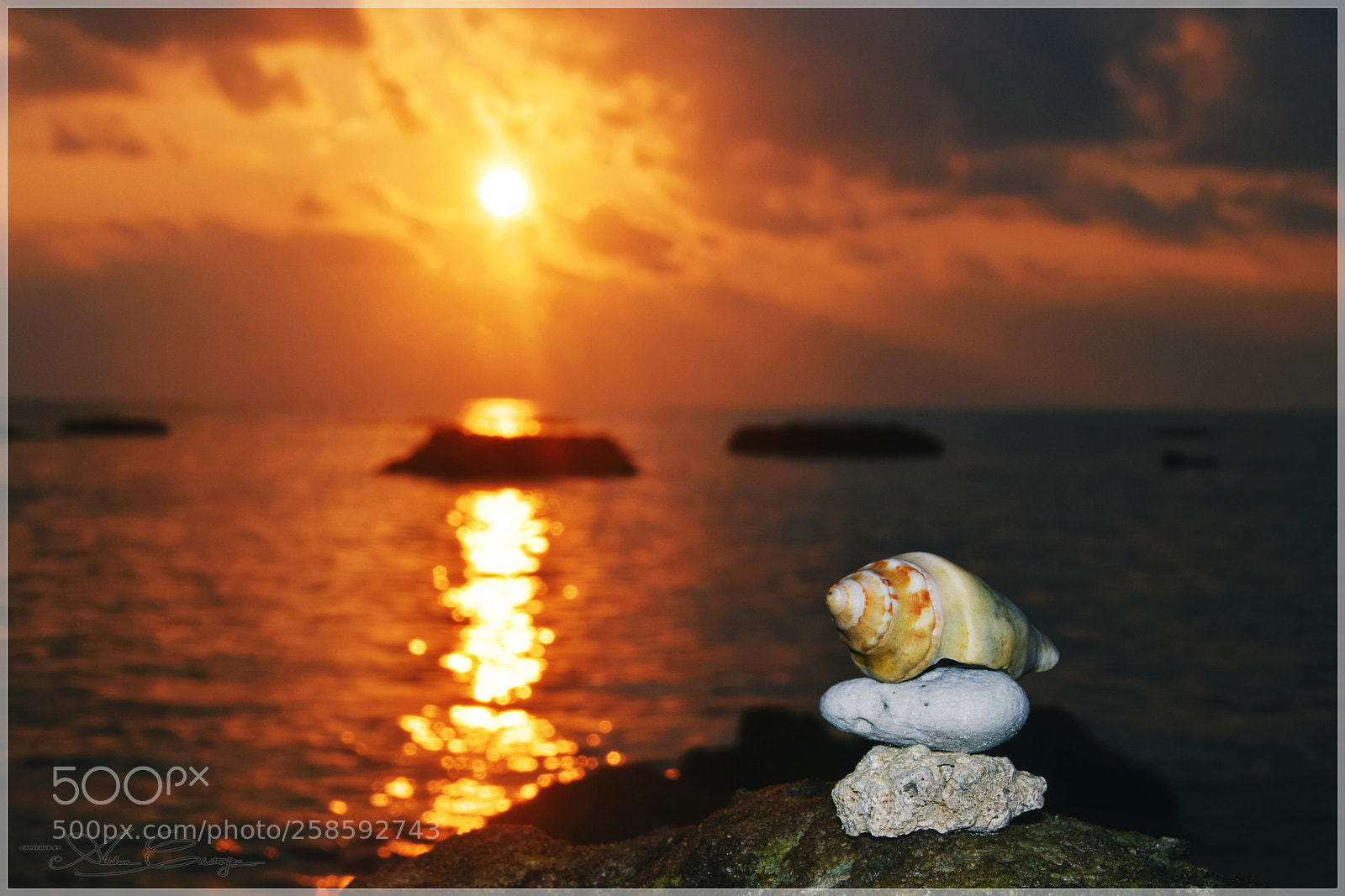 Nikon D3300 sample photo. Shell and the sunset photography