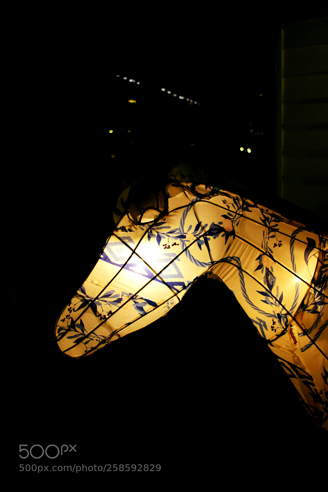 Nikon D5300 sample photo. Untitled photography