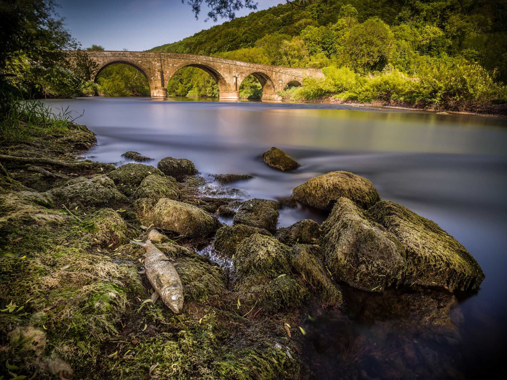 Hasselblad X1D-50c sample photo. End of the road (river) photography