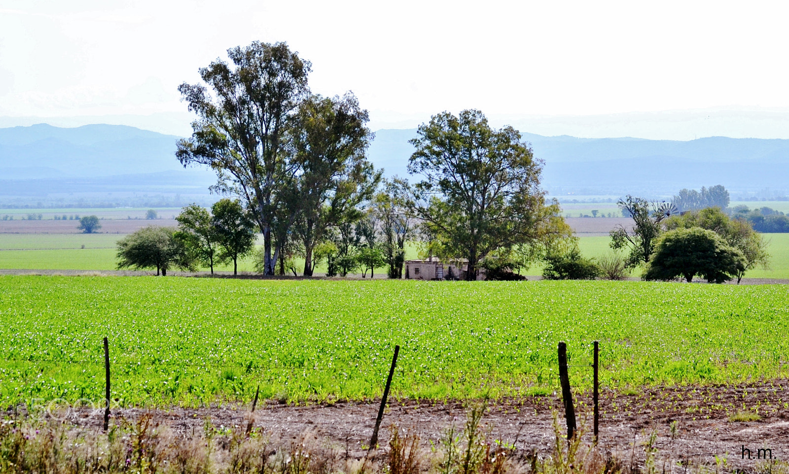 Nikon D3100 sample photo. Bd o photography