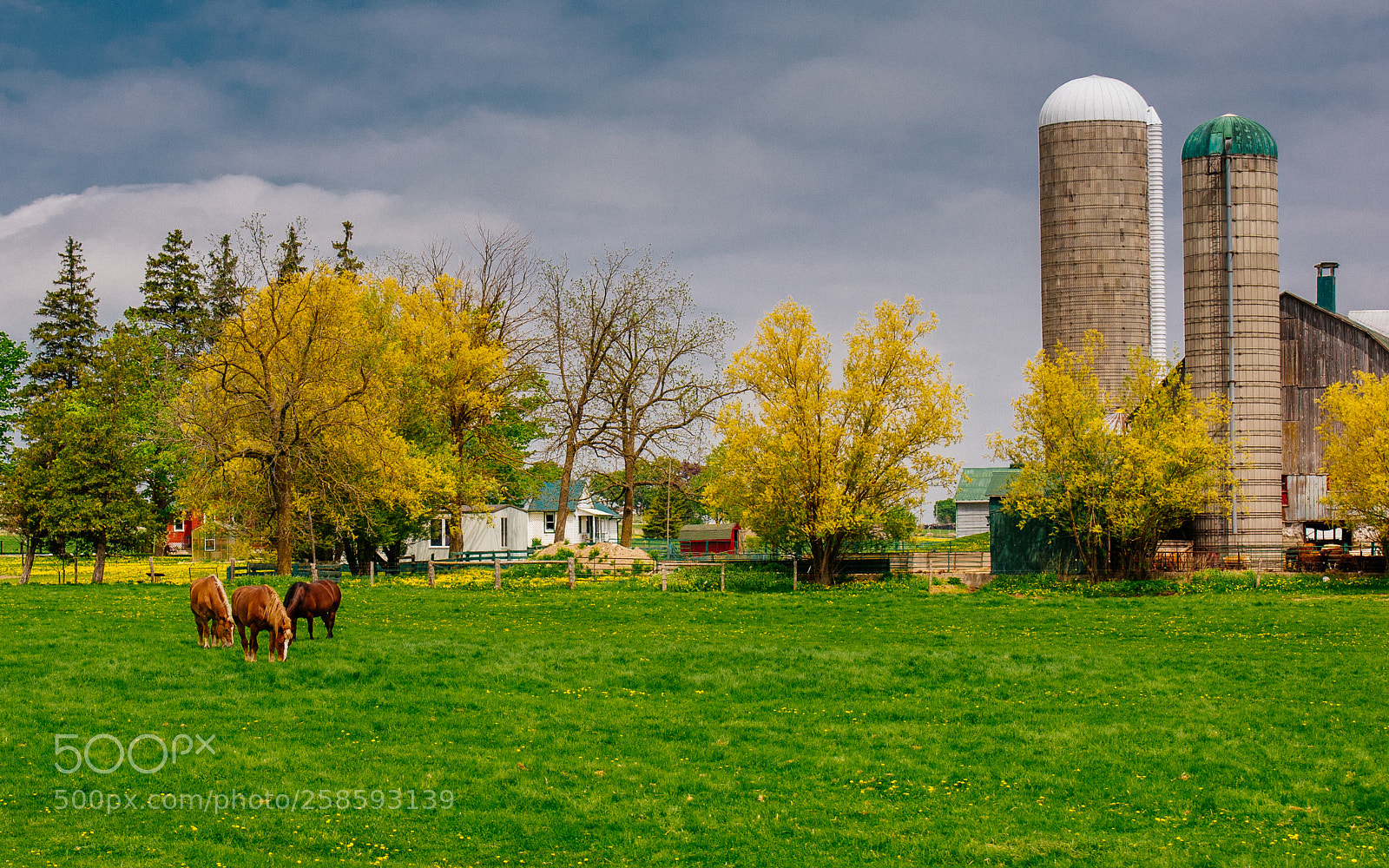 Nikon D700 sample photo. A spring day on photography