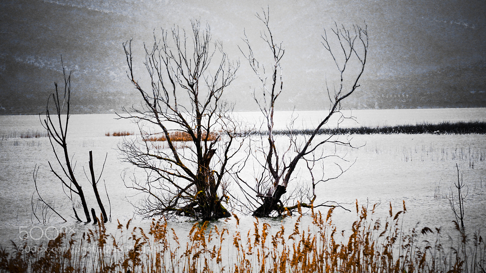 Sony a6000 sample photo. Lake arnisa photography