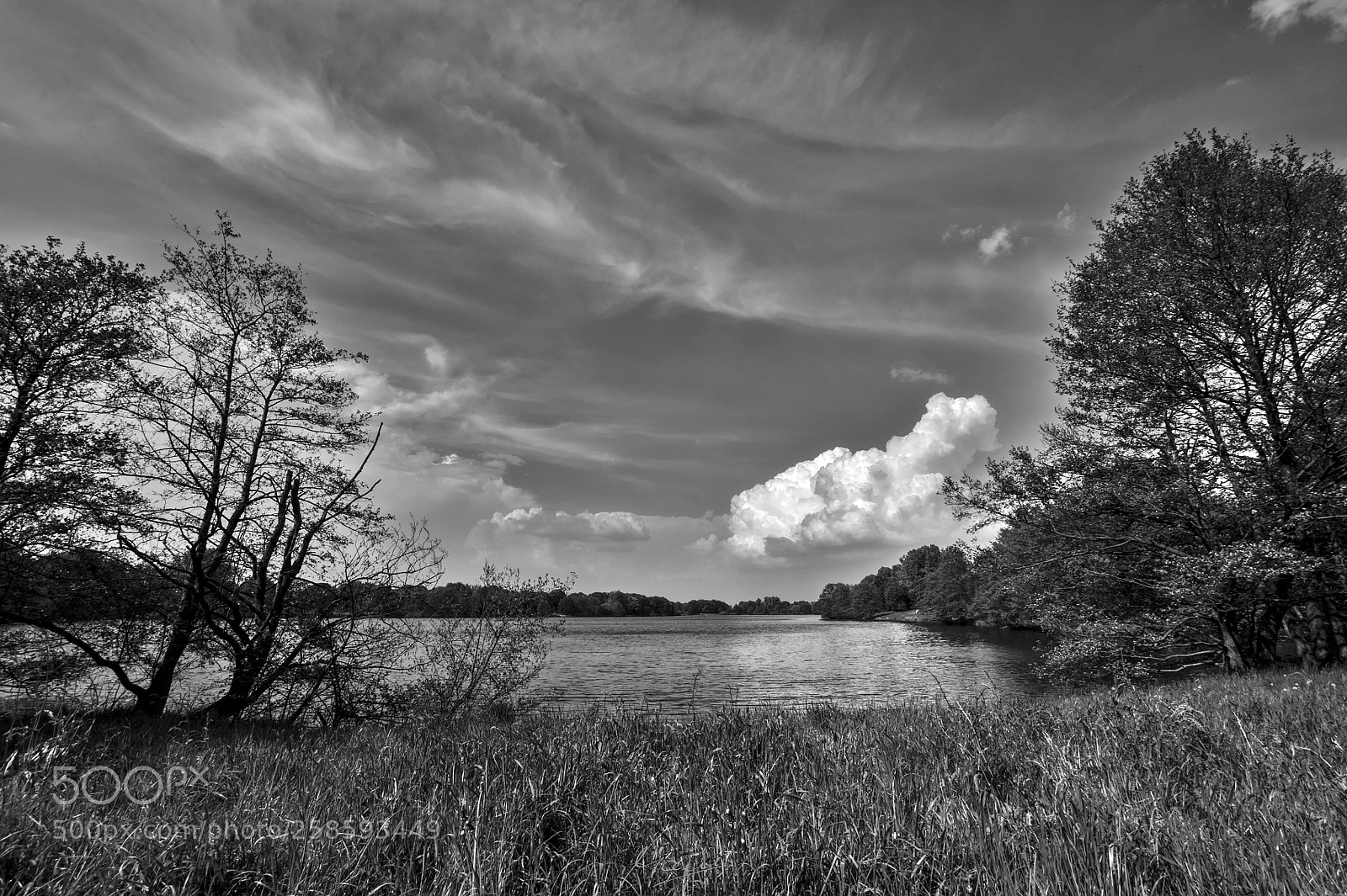 Nikon D90 sample photo. Tweelbäker see photography