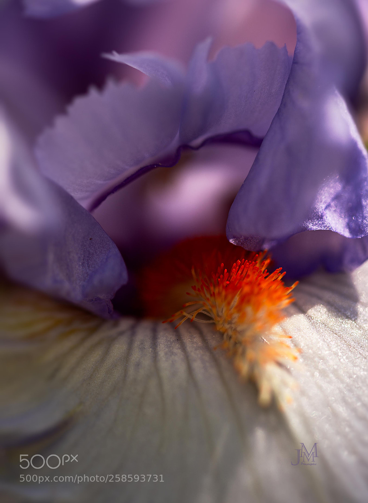 Canon EOS 6D sample photo. Surprenante! photography