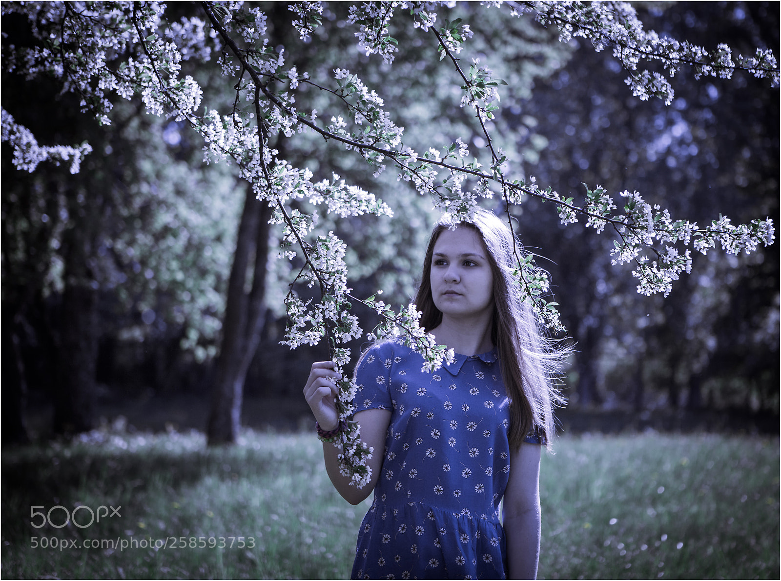 Canon EOS 6D sample photo. Under the moonlight photography