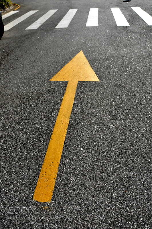 Nikon D90 sample photo. #meucaminho #go #myway photography
