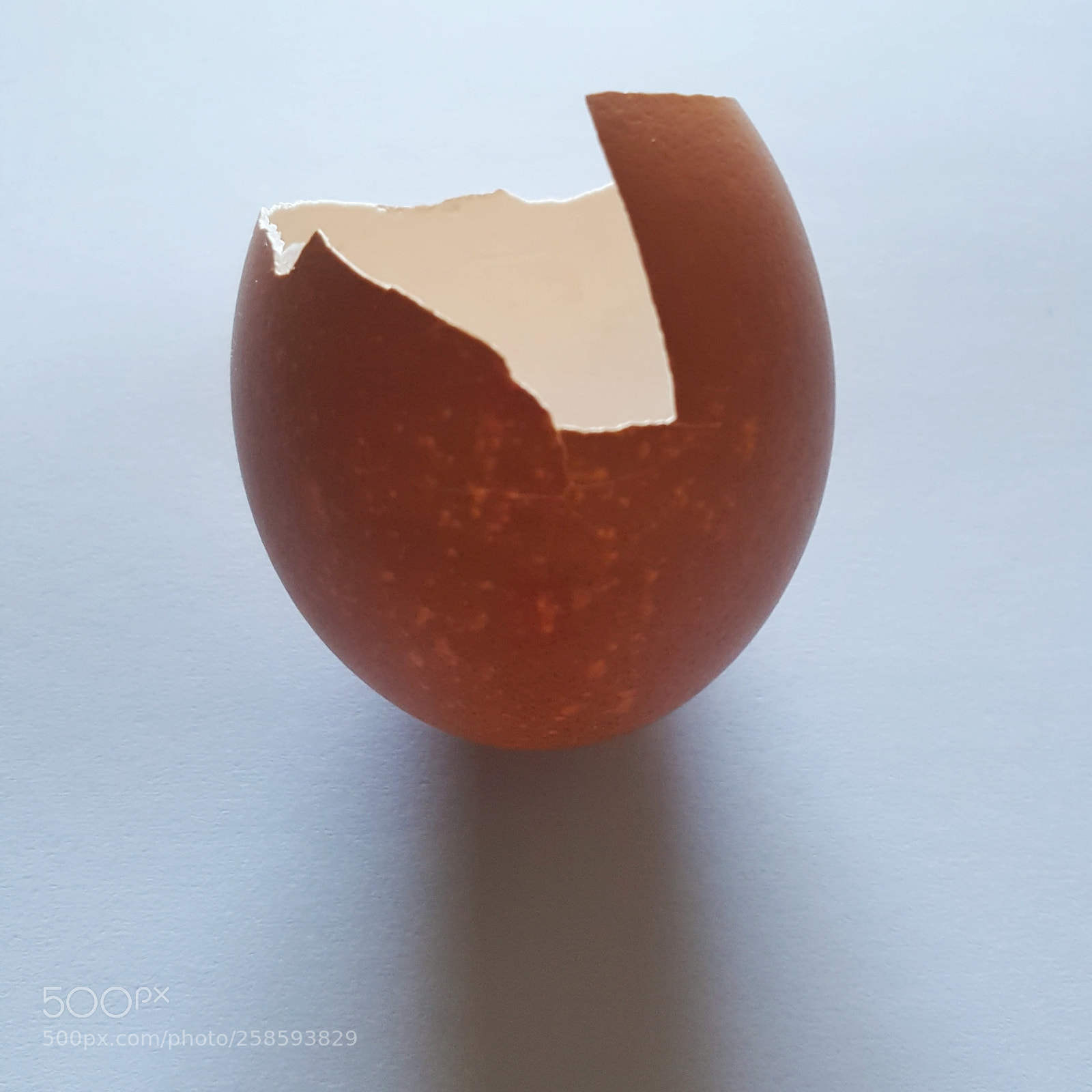 Samsung Galaxy S6 sample photo. • egg shell 1• photography