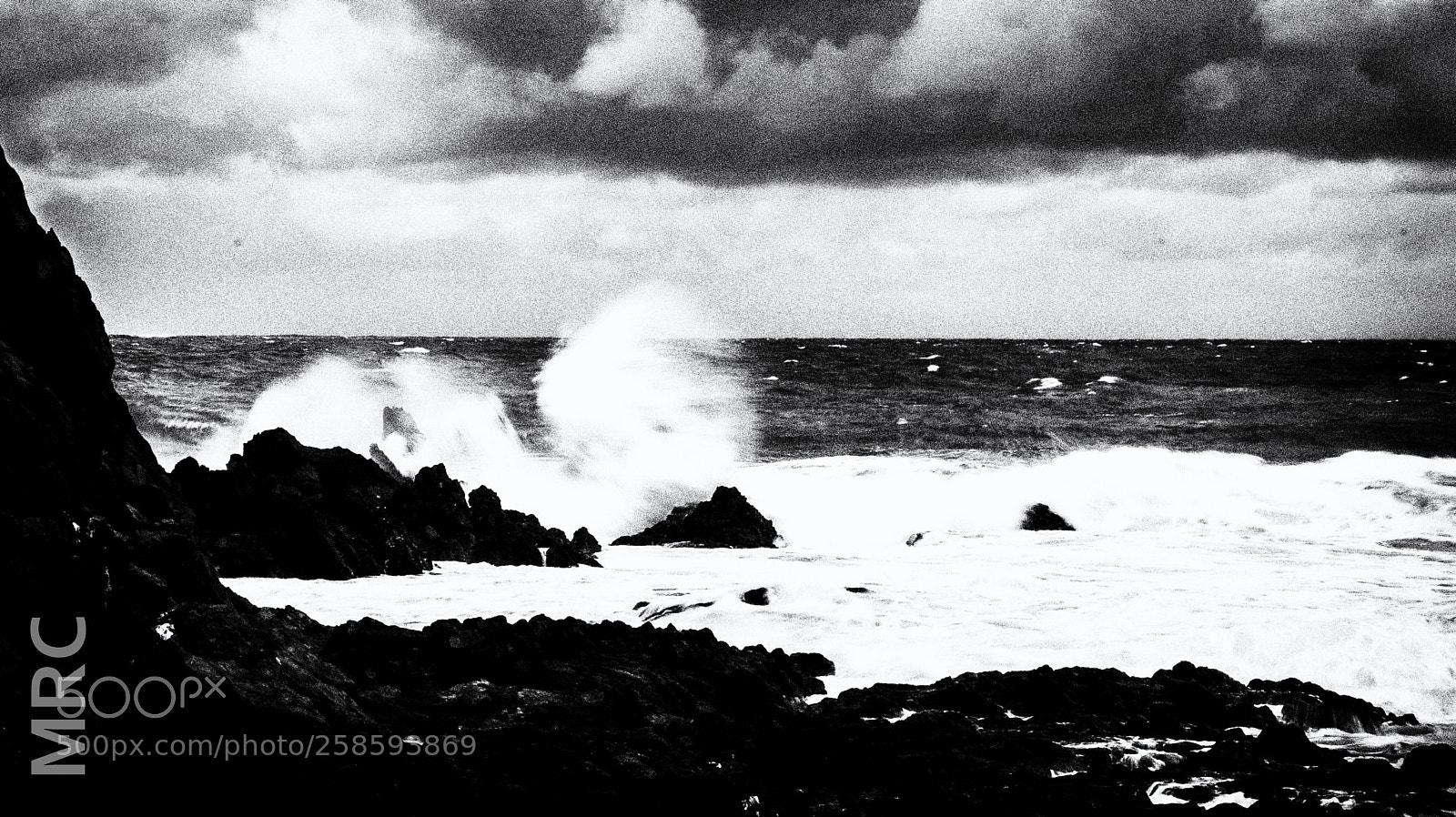 Nikon D5200 sample photo. Wild wave photography