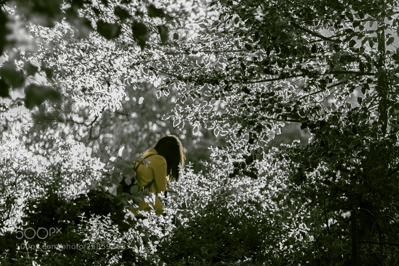 Canon EOS 1300D (EOS Rebel T6 / EOS Kiss X80) sample photo. Girl in yellow photography