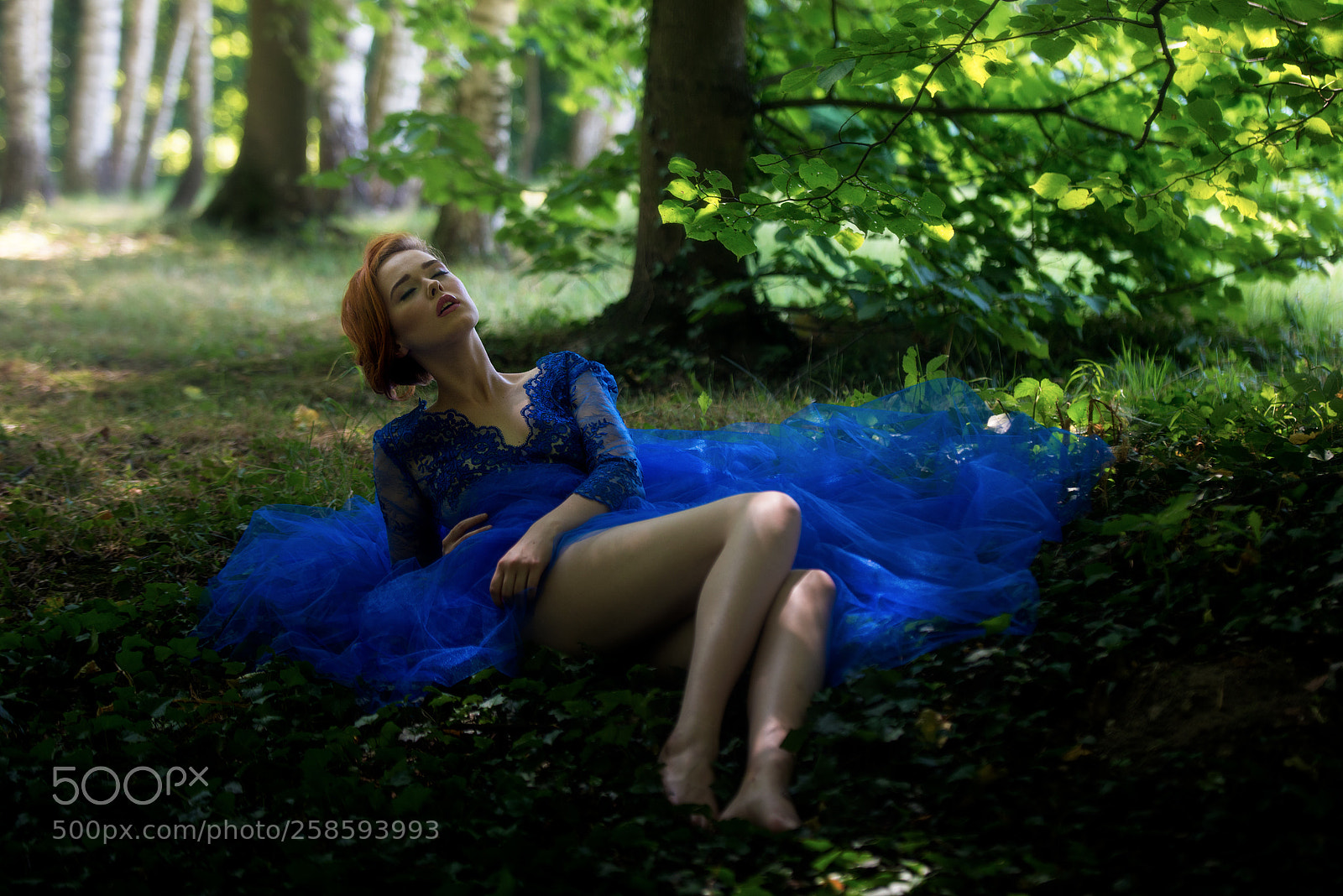 Nikon D800 sample photo. Jula in the forest photography