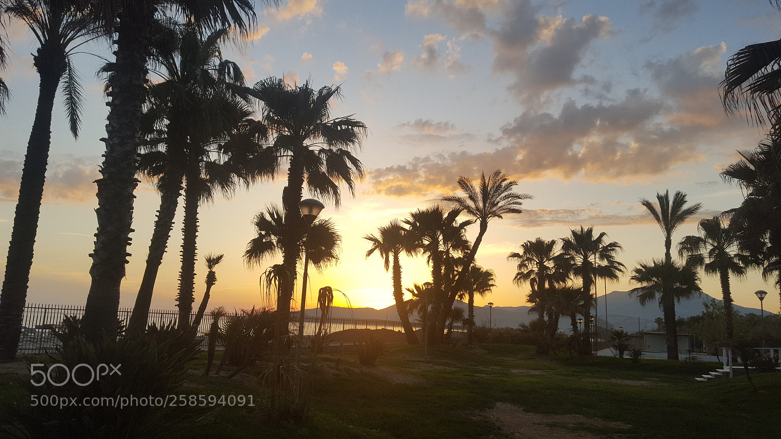 Samsung GALAXY S6 edge sample photo. Sunshine in cilento photography