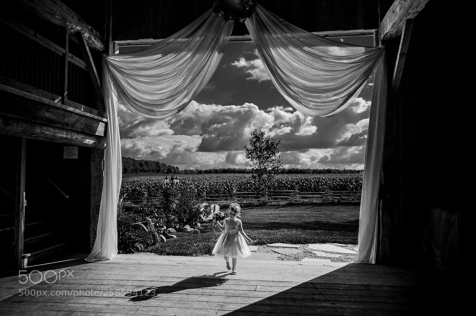 Nikon D90 sample photo. Flower girl photography