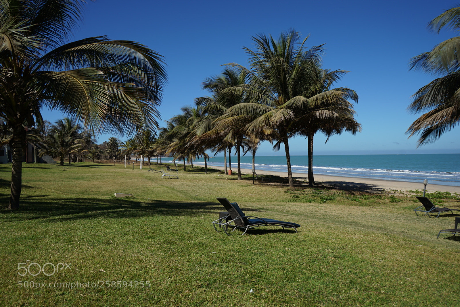 Sony a7 II sample photo. Cocoocean photography
