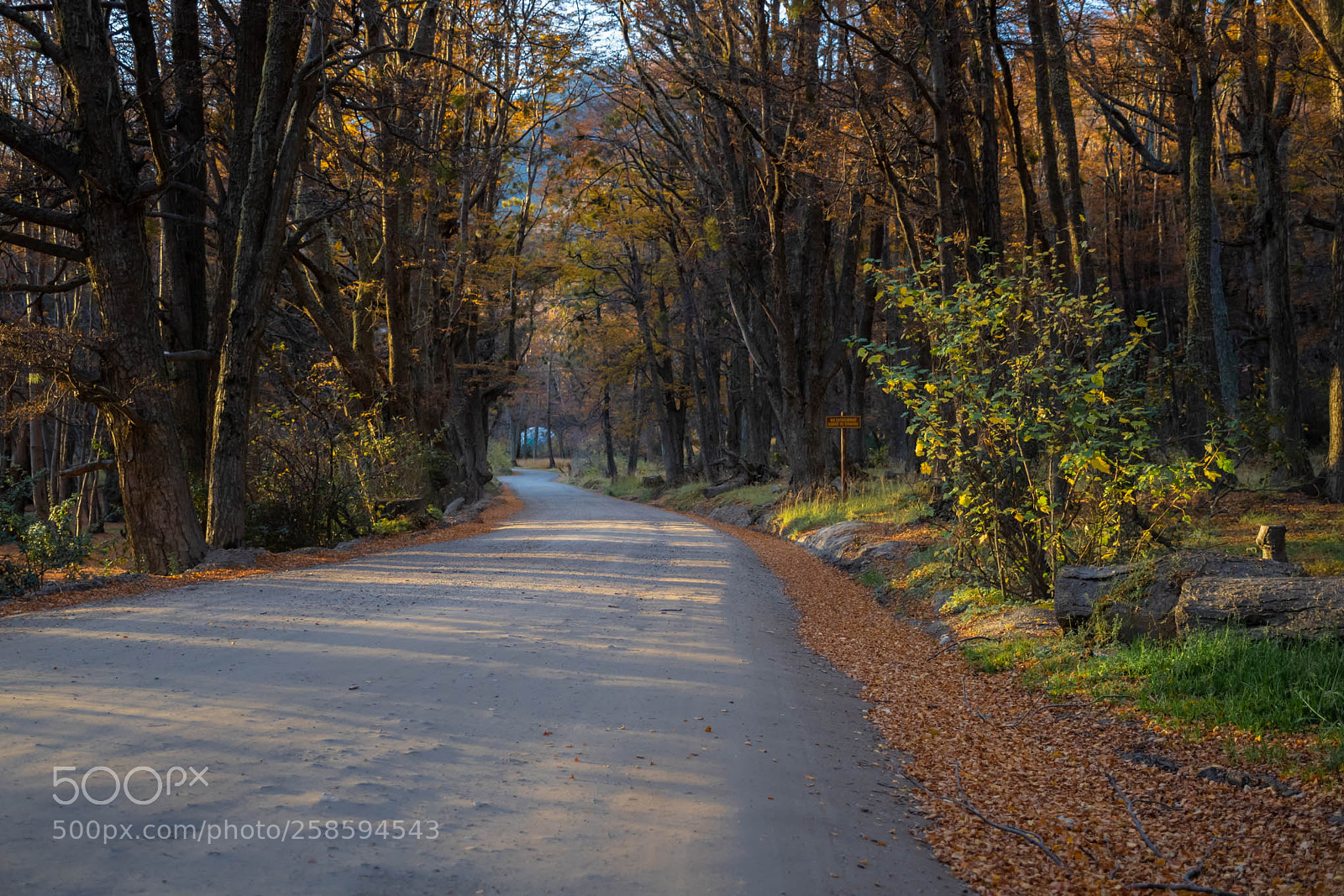 Nikon D7500 sample photo. Parque nacional tierra del photography
