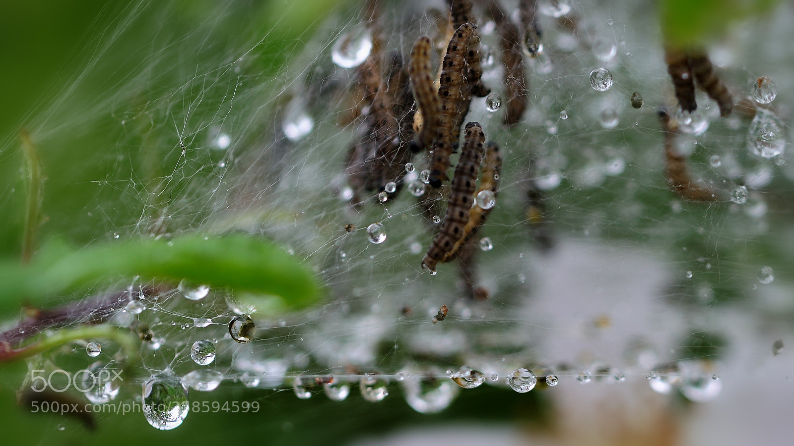 Nikon D90 sample photo. Feuchte wohnung photography