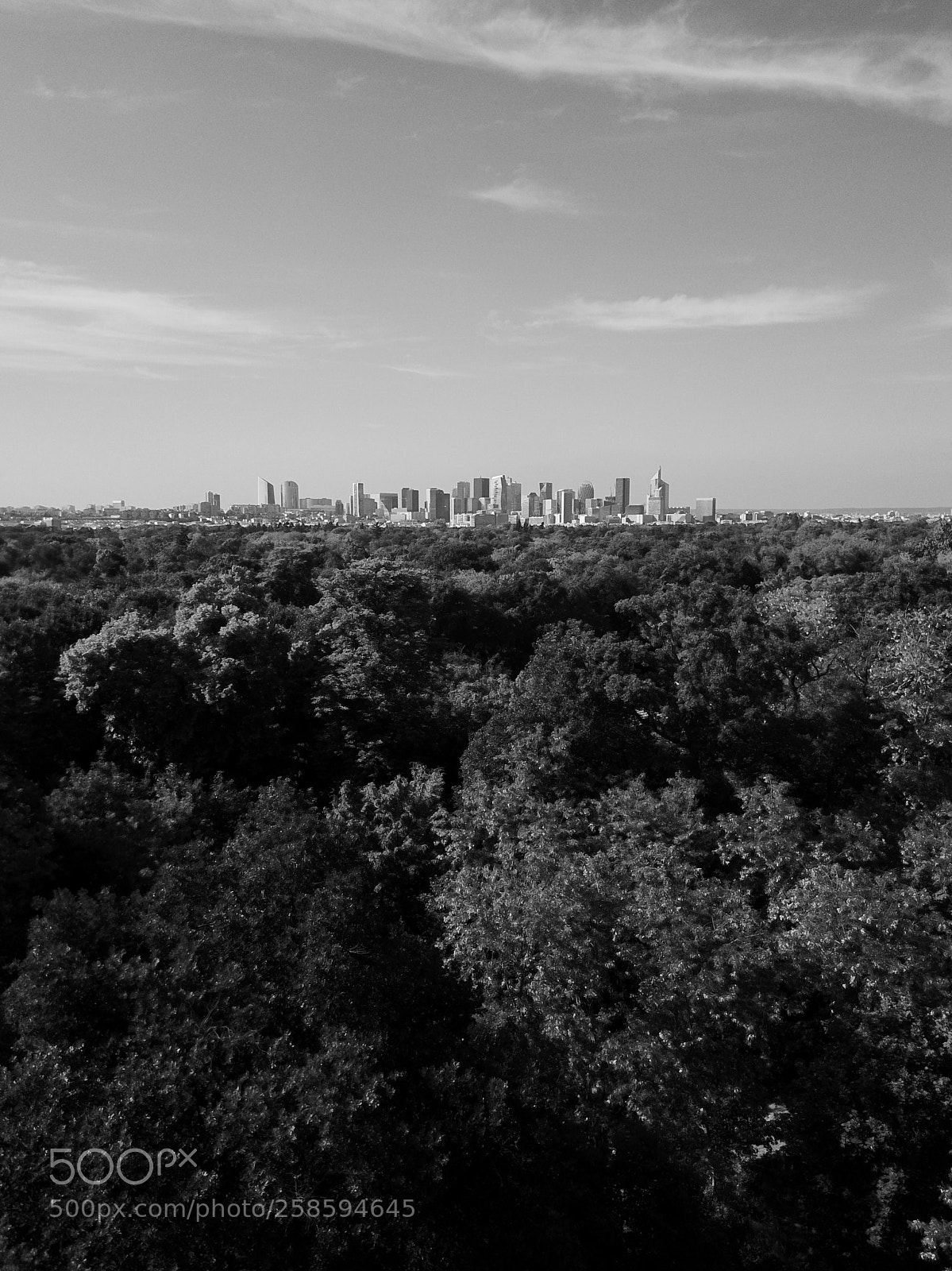 DJI FC220 sample photo. Untitled photography