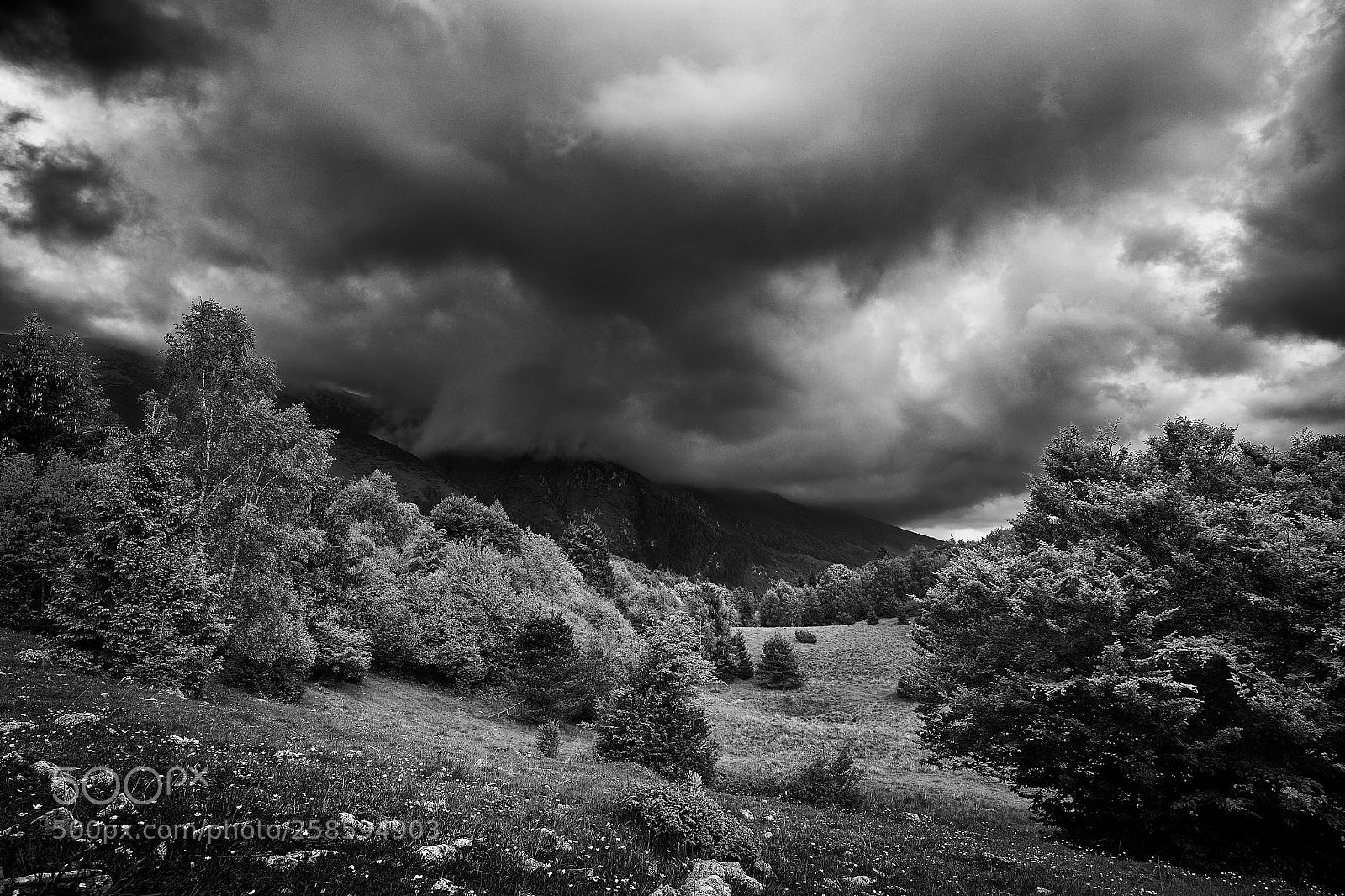 Sony a7R II sample photo. Monte baldo ii photography