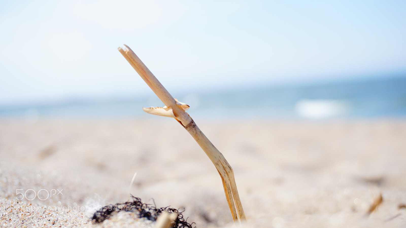 Sony a6000 sample photo. Baltic photography