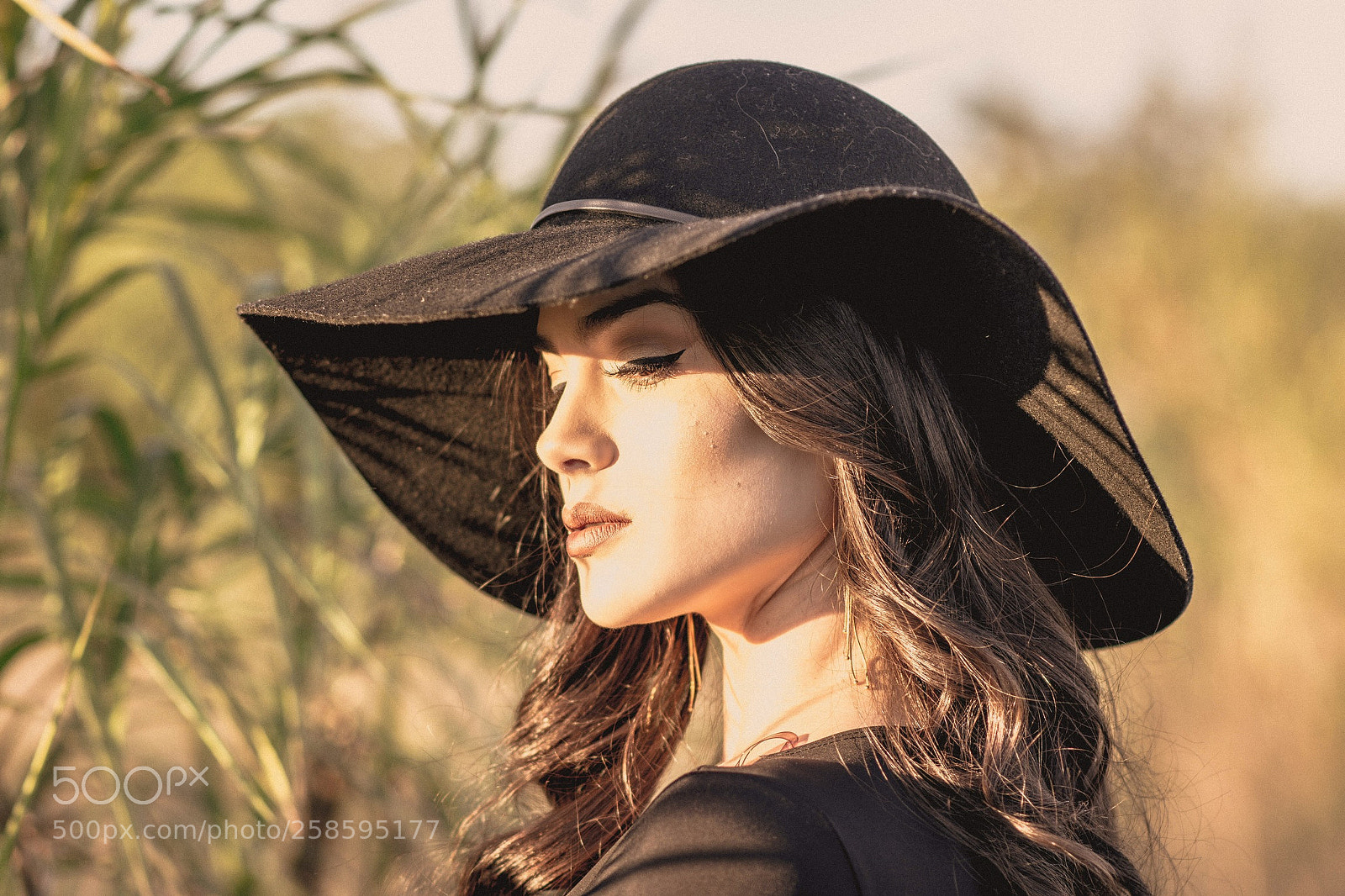 Nikon D7200 sample photo. Untitled photography
