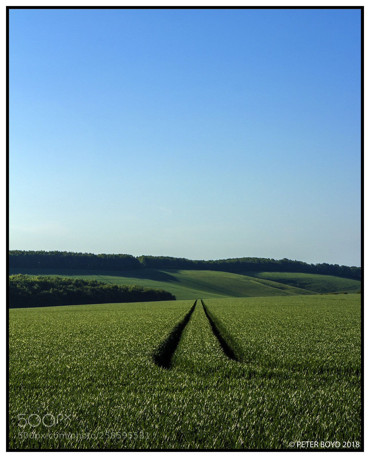 Canon EOS 60D sample photo. Track in the crop photography