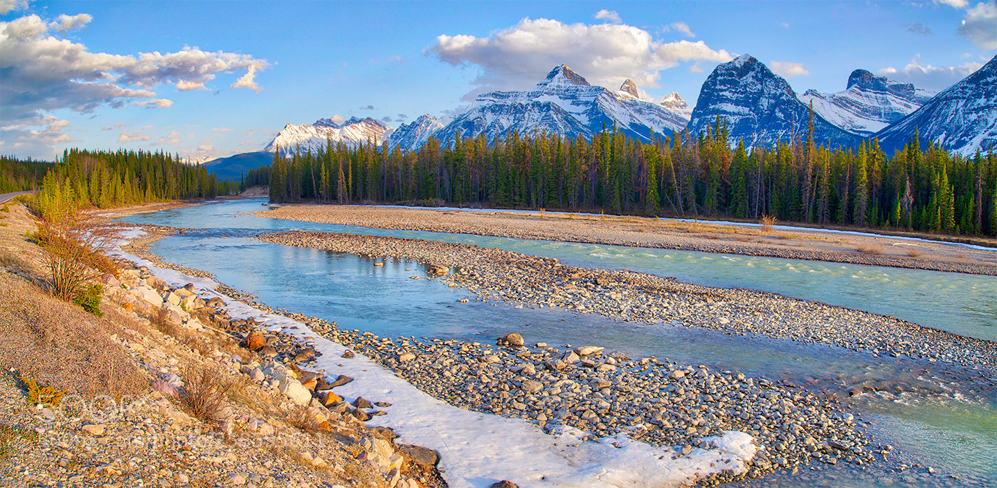 Nikon D610 sample photo. Blue mountains photography