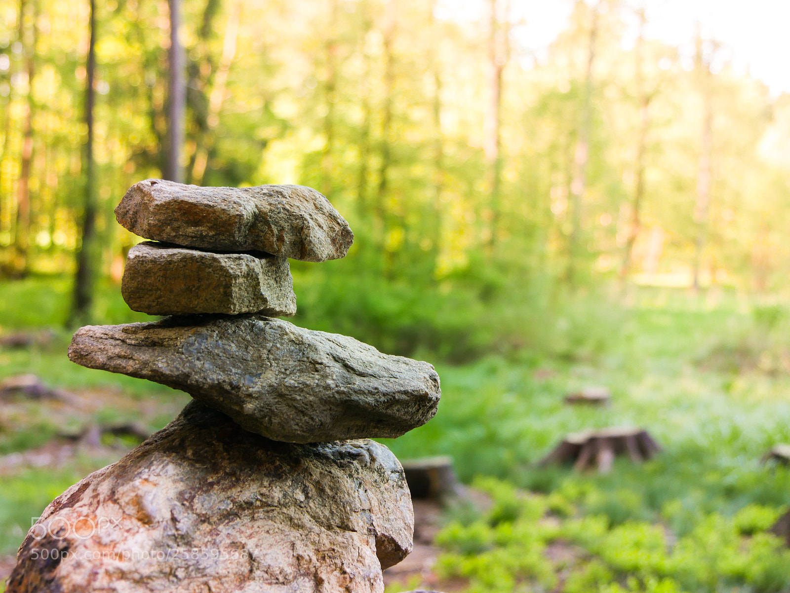 Panasonic Lumix DMC-G7 sample photo. Summer's incomming - stones photography